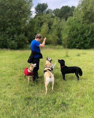 Business listing image