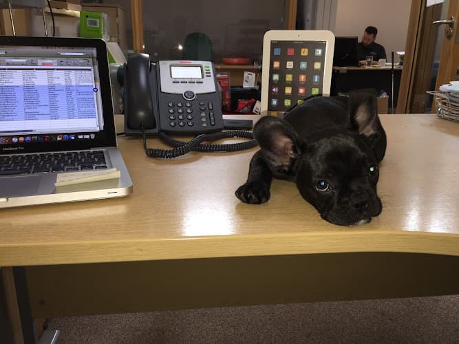 Business listing image