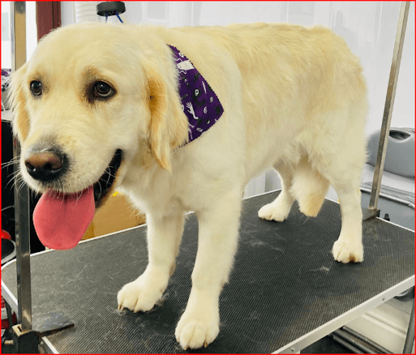 Business listing image