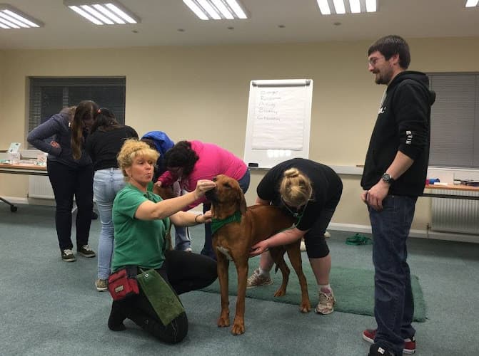 Business listing image