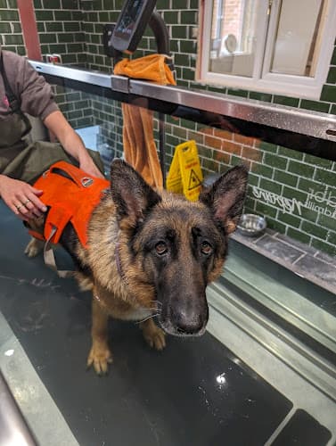 Business listing image