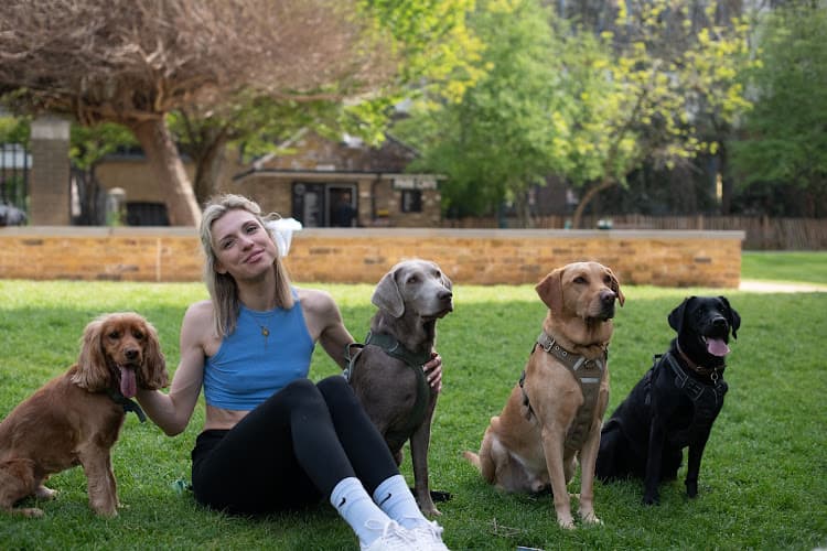 Business listing image