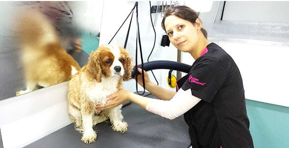 Business listing image