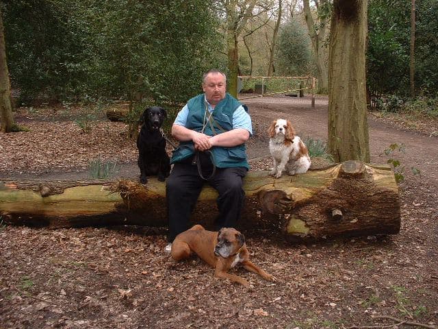 Business listing image