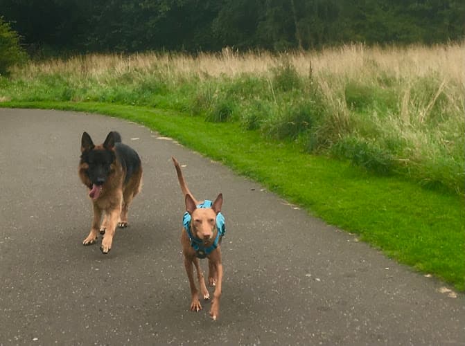 Business listing image