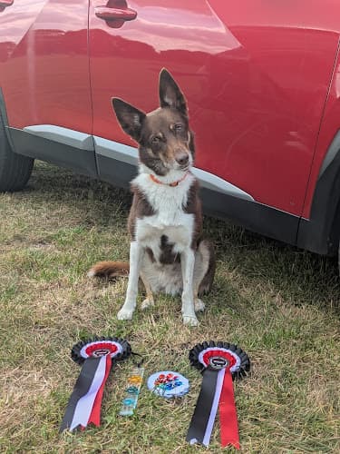 Business listing image