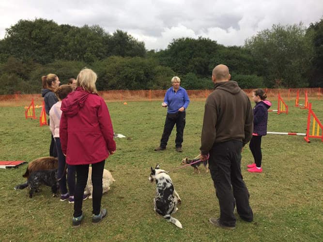 Business listing image