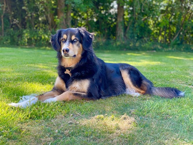 Business listing image