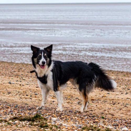 Business listing image