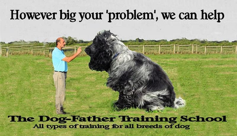 Business listing image