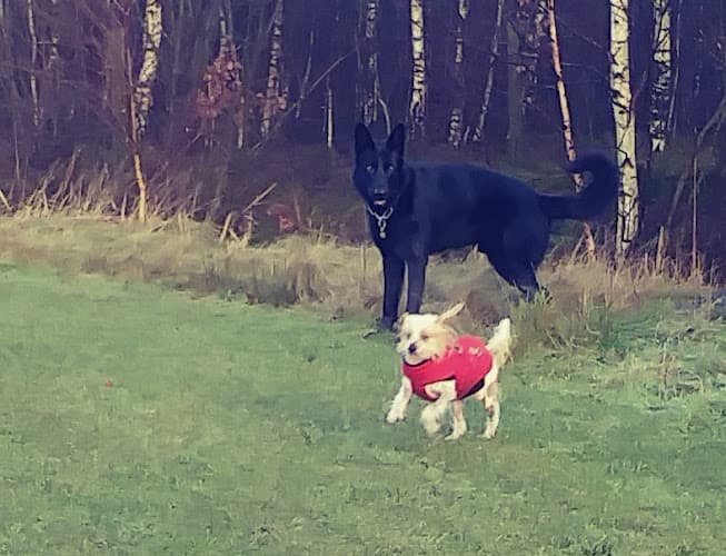 Business listing image