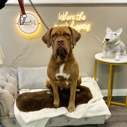 Business listing image