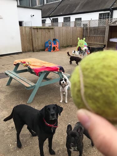 Business listing image