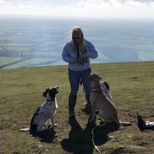 Business listing image