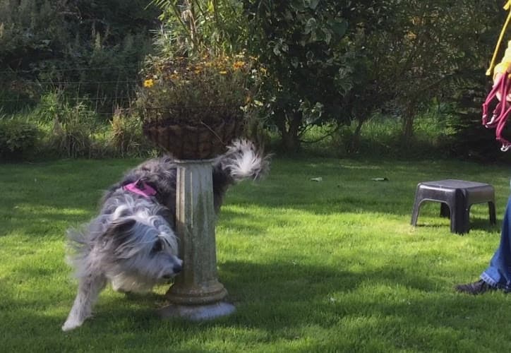 Business listing image