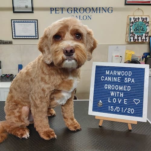 Business listing image