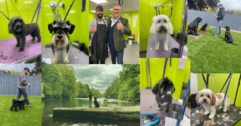 Business listing image