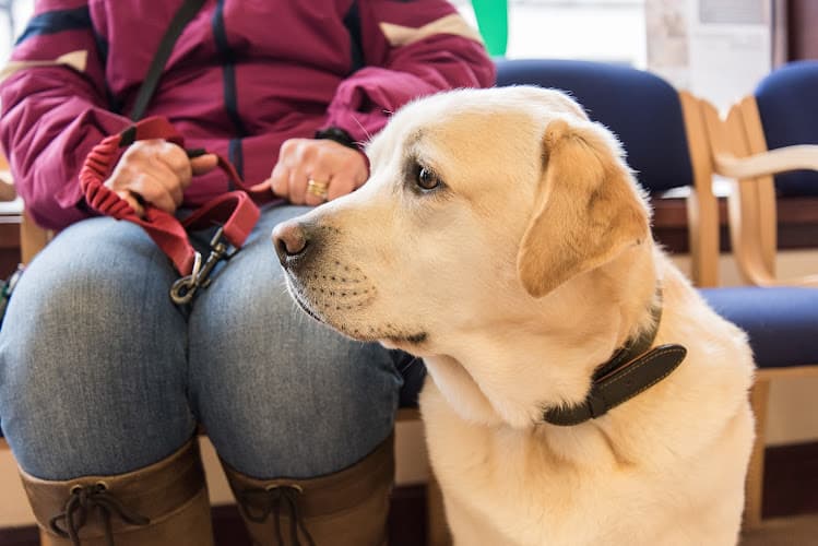 Business listing image