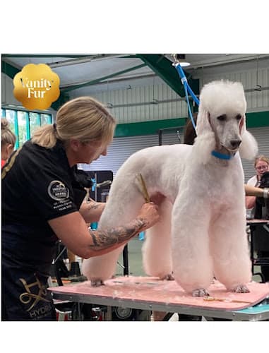 Business listing image