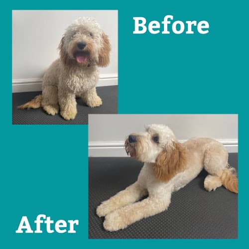 Business listing image