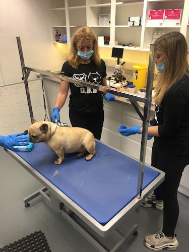 Business listing image