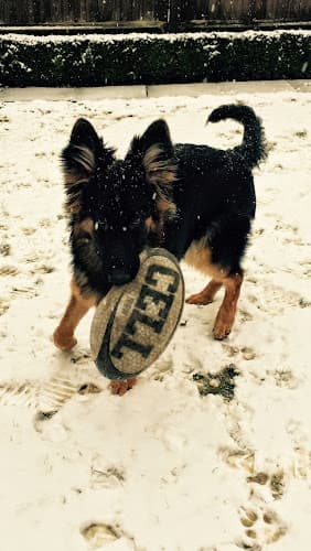 Business listing image