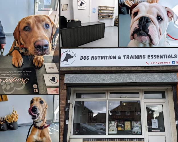 Business listing image