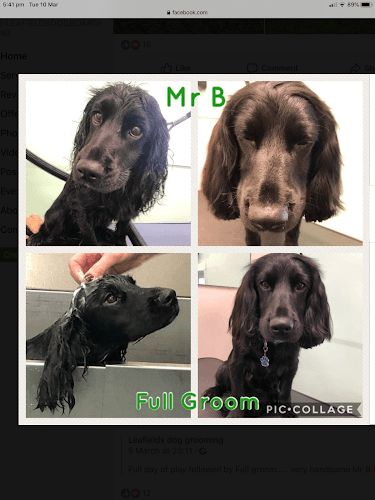 Business listing image