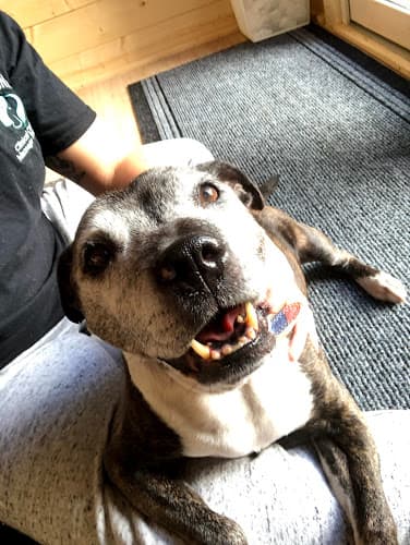 Business listing image