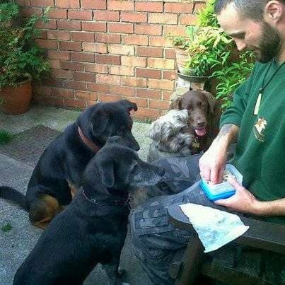 Business listing image