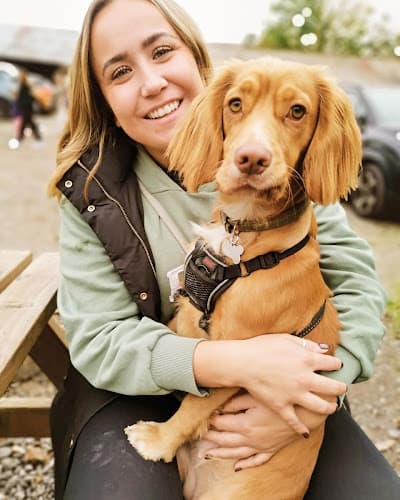 Business listing image