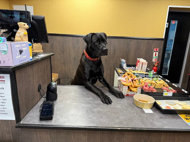 Business listing image