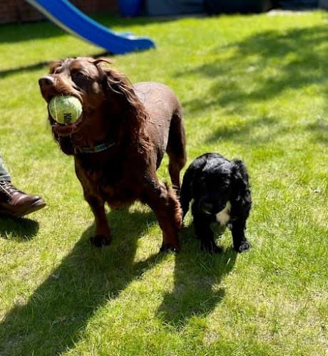 Business listing image