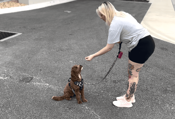 Business listing image