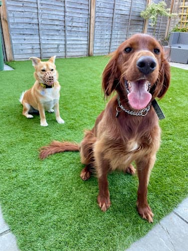 Business listing image