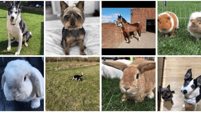 Business listing image