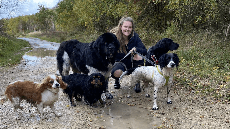 Business listing image