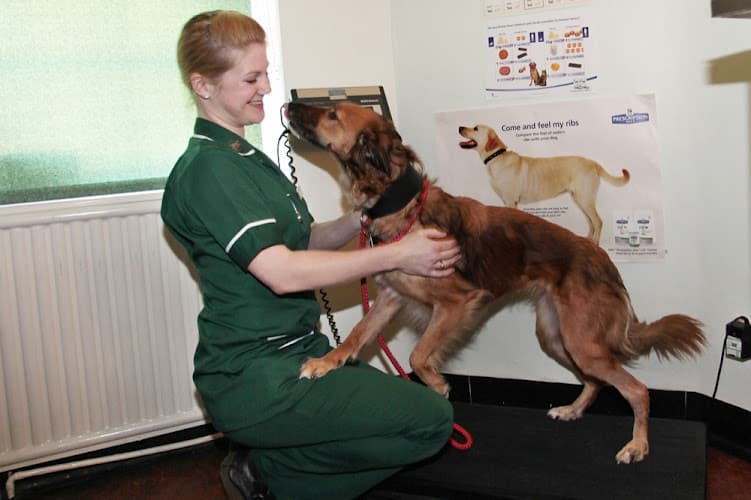 Business listing image