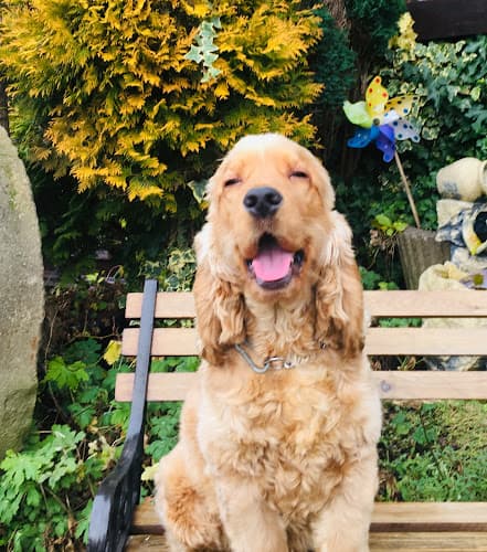 Business listing image