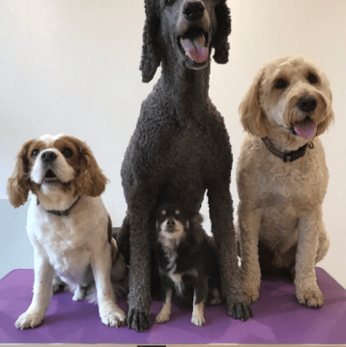 Business listing image