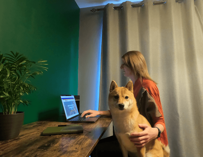 Business listing image