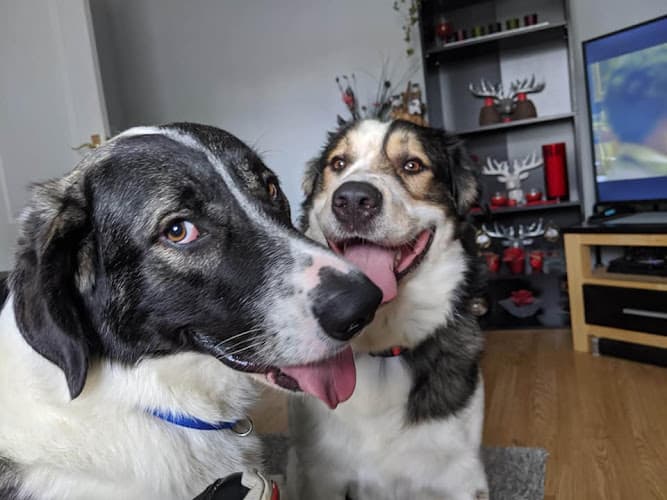 Business listing image