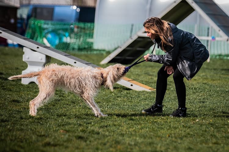 Business listing image