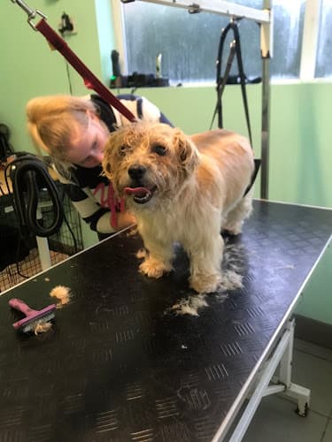 Business listing image