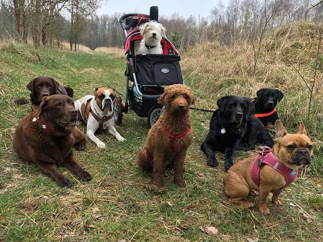 Business listing image