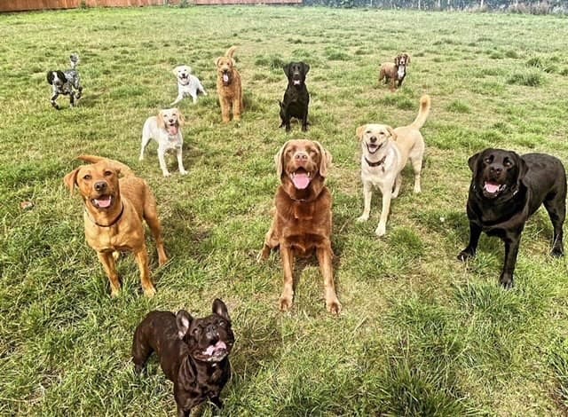 Business listing image