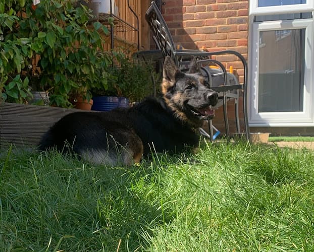 Business listing image