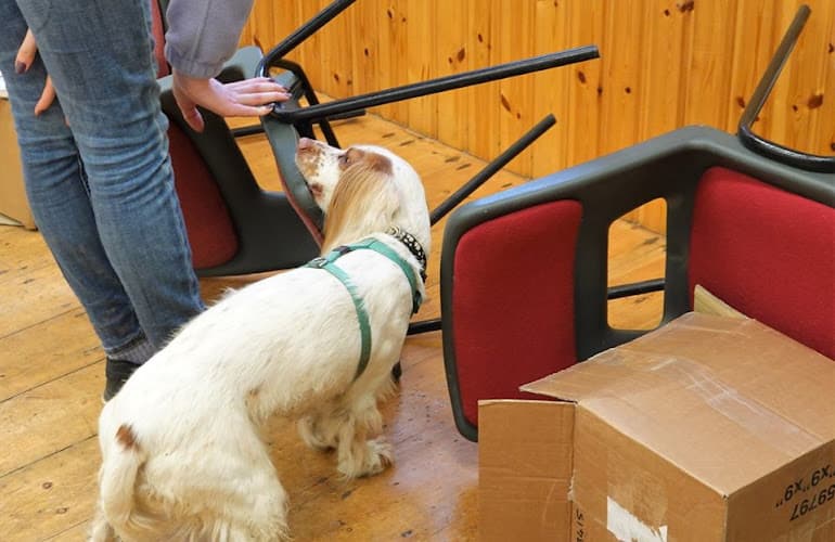 Business listing image