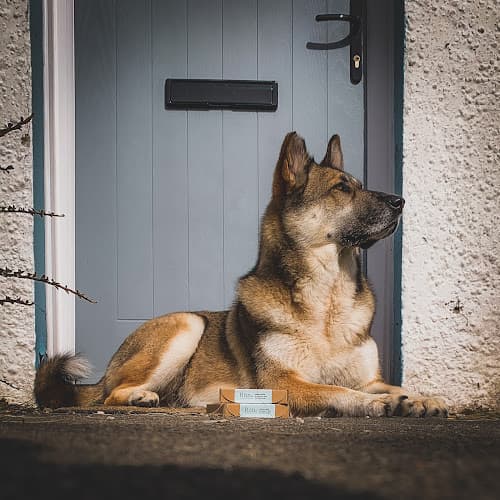 Business listing image