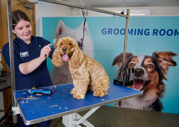 Business listing image